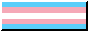 A trans pride flag