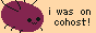 I was on cohost